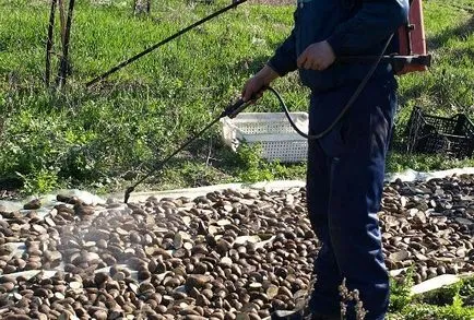 Меден сулфат се използва в градинарството през пролетта и есента