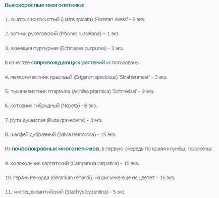 Многогодишни цветя за цветни лехи (цветя) Многогодишни цветя за цветни лехи