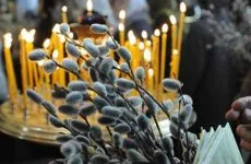 Мента полезни свойства и противопоказания