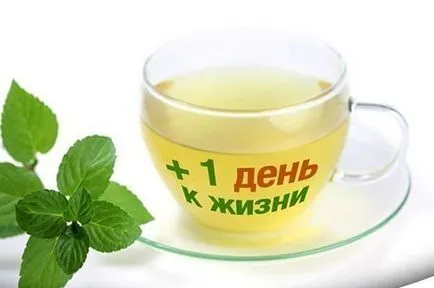 Елеутерокок тинктура - ползи и вреди, инструкции за употреба, видео