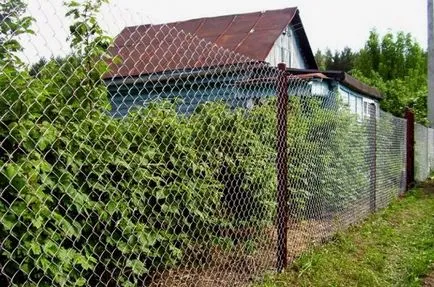 Евтините ограда за градината