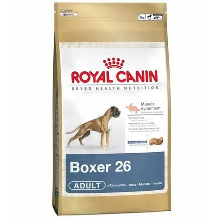 Boxer, най-хубавия охрана
