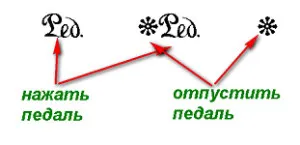Ноти за начинаещи бележки, отклонявам, промяна, дължини бележка, уелнес блог