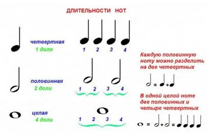 Ноти за начинаещи бележки, отклонявам, промяна, дължини бележка, уелнес блог