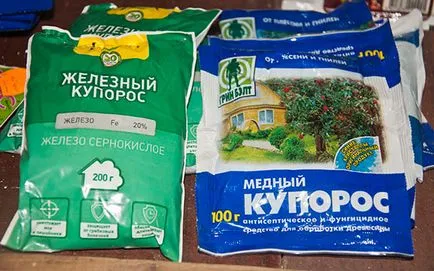 Обработка пружинни дървета от вредители и болести най-ефективните лекарства