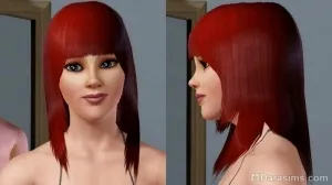 Преглед на стоките «The Sims 3 съвременен лукс