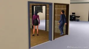 Преглед на стоките «The Sims 3 съвременен лукс