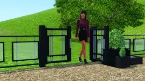 Преглед на стоките «The Sims 3 съвременен лукс