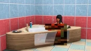 Преглед на стоките «The Sims 3 съвременен лукс