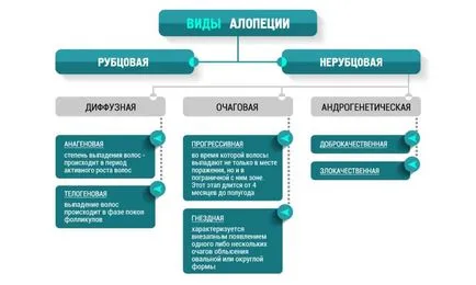 Алопеция ареата лечение на мъжки животни за разплод плешивост