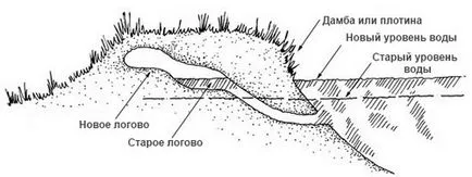 Muskrat, huntmen