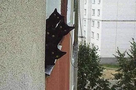 Windows и безопасни за котки балкони