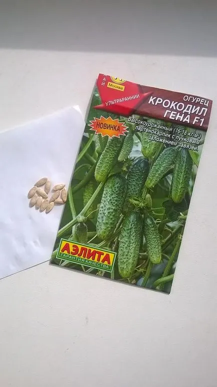 Краставици - крокодил ген - F (Aelita)