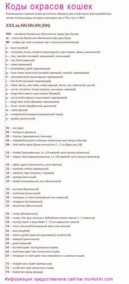 Цветове шотландски котки (снимка) (таблица) (описание) murkotiki