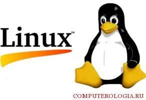 Характеристики монтаж на прозорци и Linux на един компютър