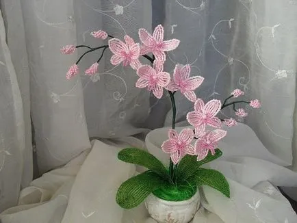 Orchid топчета тъкане схема, снимки и видеоклипове с ф (орхидея топчета) Orchid схема топчета тъкане, снимки и видеоклипове с ф