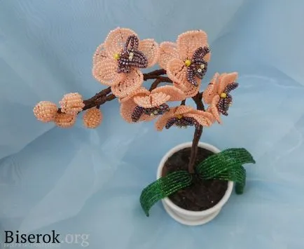 Orchid схема топчета тъкане, снимки и видеоклипове с ф (схема) Orchid схема топчета тъкане, снимки и видеоклипове с ф