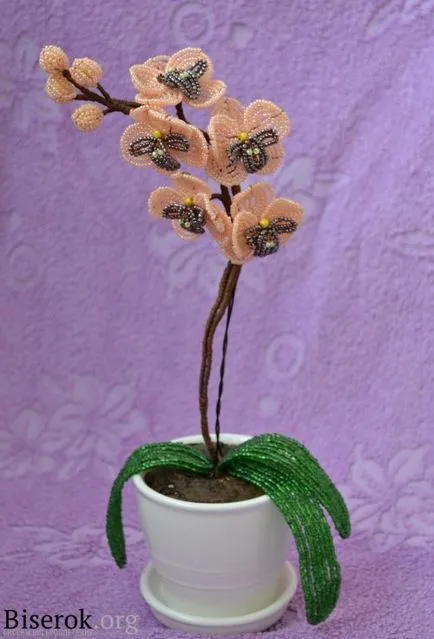 Orchid схема топчета тъкане, снимки и видеоклипове с ф (тъкане) Orchid схема топчета тъкане, снимки и видеоклипове с ф
