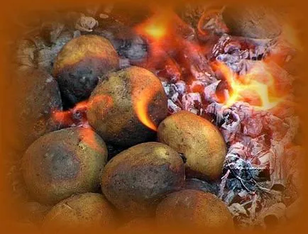 Вредният картофи