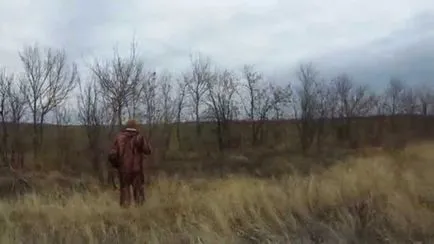 заек лов през есента на chernotropu без куче