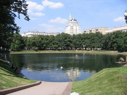 Басейни патриарх в Москва