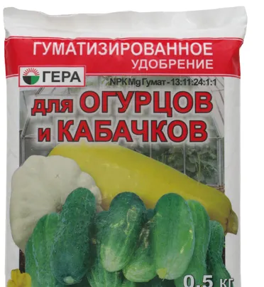 Първо торене на краставици в оранжерията