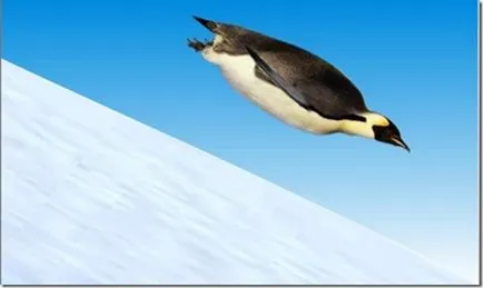 Penguins - необичайни птици