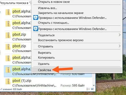 Pbot какво тази програма е и дали е необходимо
