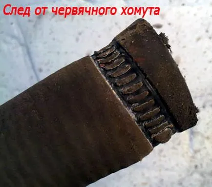 личен сайт