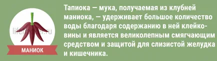 Храна за здравето на стомаха