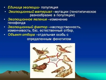Защо е единица население на еволюцията