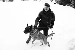 Търсене куче човек, образование и обучение на куче услуга (търсене) Търсене куче човек, образование и обучение на куче услуга