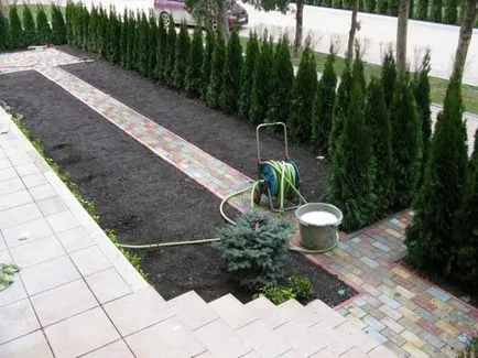 Получаване на почвата по тревата, както и разнообразие от почвата и земята за тревата