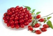 Чери домати растат като растителни семена, грижи, фото, видео