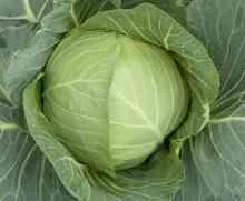 Поливане стайни растения, частна къща