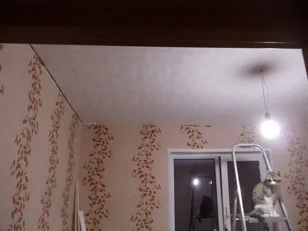 Таван с ръцете си в частна къща