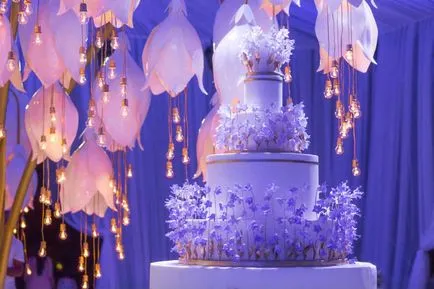 Правилният избор е да се знае за сватба torte- няколко съвета от Елена от категорията Shirshov