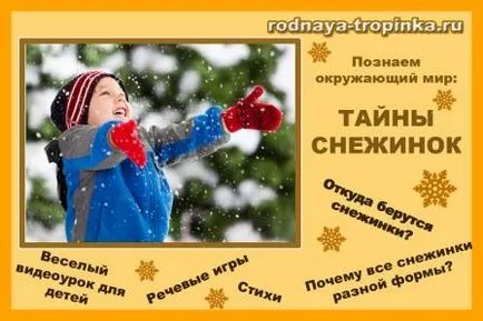 Учим за света защо снежинките са различни (различни) Учим за света защо снежинките са различни