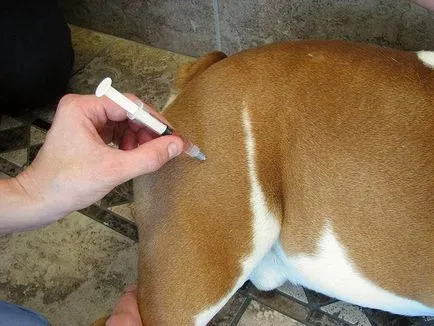 Drug 