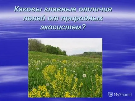 Представяне на област екосистема
