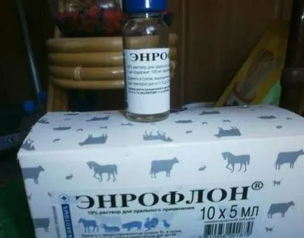 Получаване 