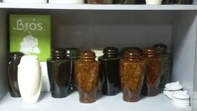 Какво става, ако кучето е починал