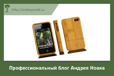 Това е направено от бамбук - съвременните реалности (бамбук) Това е направено от бамбук - съвременните реалности