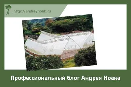 Това е направено от бамбук - съвременните реалности (правя) Това е направено от бамбук - съвременните реалности