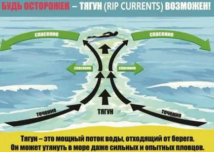 Какво трябва да направя, ако вълната носи в морето да плуват в морето