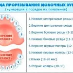 Изригване на горните зъби в детските снимки, симптоми