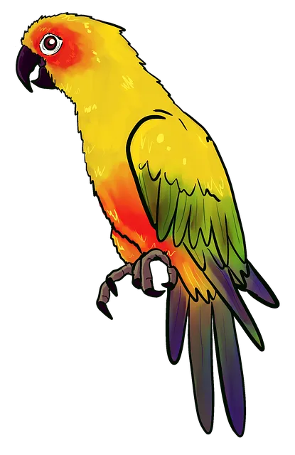 Bird на английски език - имена на птици на английски език с превод