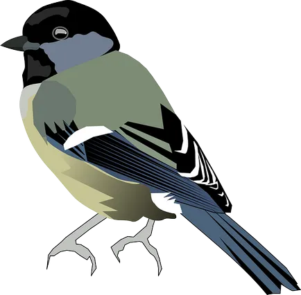 Bird на английски език - имена на птици на английски език с превод