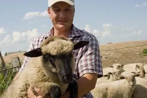 Sheep у дома, особено на съдържанието на овце и кози в личния дъщерно
