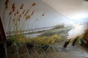 Боядисани веранди как да направят своя собствена